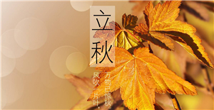 【立秋】來臨，卅亞和您共同迎接秋天的到來